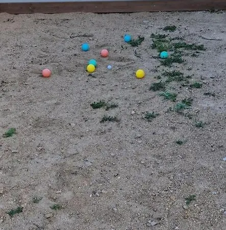 Belle à La Campagne Dans Un Coin Cosy Sartène