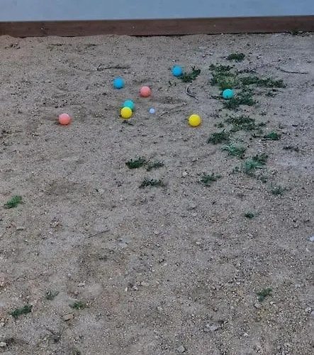 Belle A La Campagne Dans Un Coin Cosy Sartène